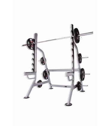 LMX1301 SQUAT RACK
