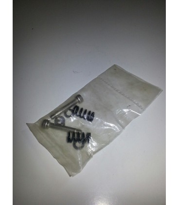 FS164 Viti + Molla + Rondella