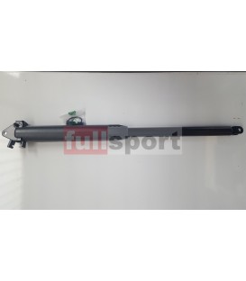 C52R-41 PISTONE SEDUTA