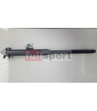 C52R-41 PISTONE SEDUTA