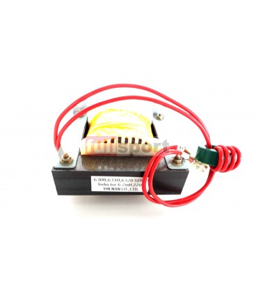 6300-54 INDUTTORE