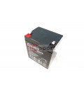 412051 BATTERIA 12V