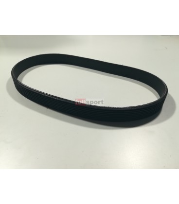 FS259 CINGHIOLO RUNRACE