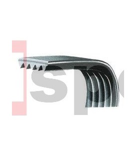 OK61-0271-0000 cinghia poly v