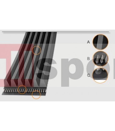 OK61-0271-0000 cinghia poly v