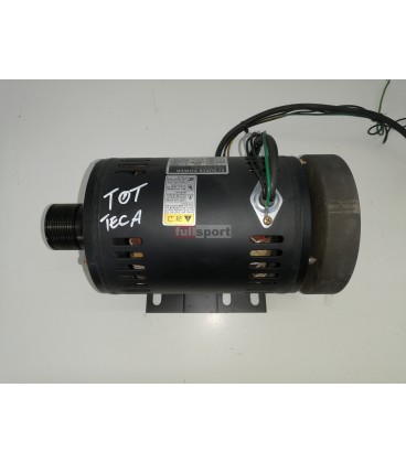 FS300 MOTORE TRAZIONE TECA T0T