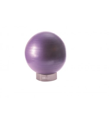LMX1105 PORTA GYMBALL