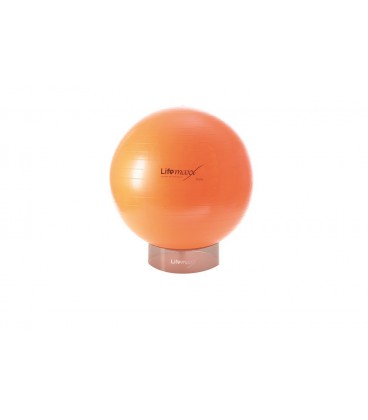 LMX1105 PORTA GYMBALL