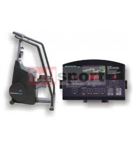 7005 - STEP SPORTSART